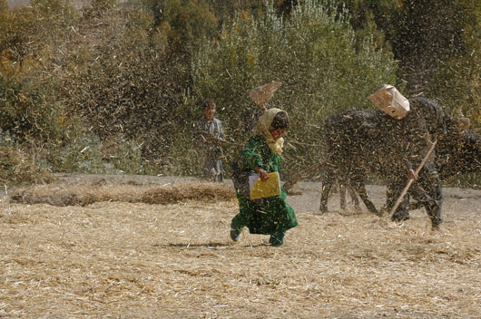 کارگردان: حنا مخملباف - عکاس: مهرداد ذوالنور