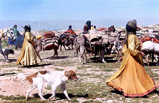 کارگردان: محسن مخملباف